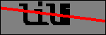 Text der identifiziert werden soll